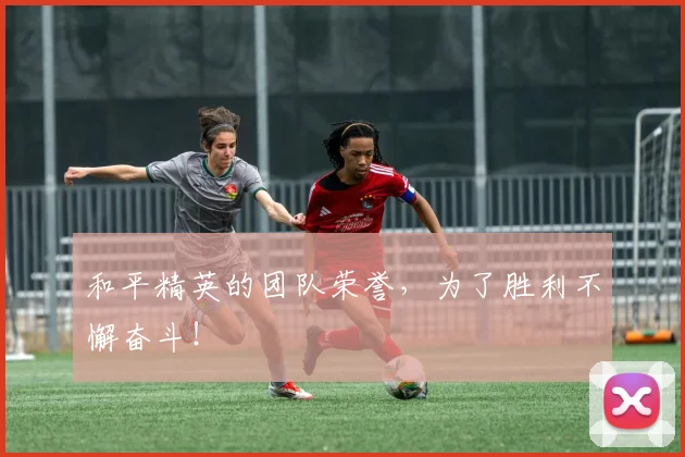 和平精英的团队荣誉,为了胜利不懈奋斗!