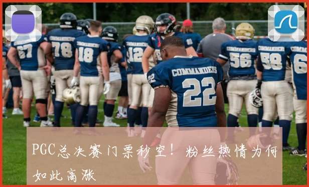 PGC总决赛门票秒空!粉丝热情为何如此高涨